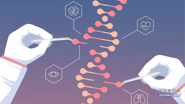 什么是基因编辑，它如何塑造我们的未来？