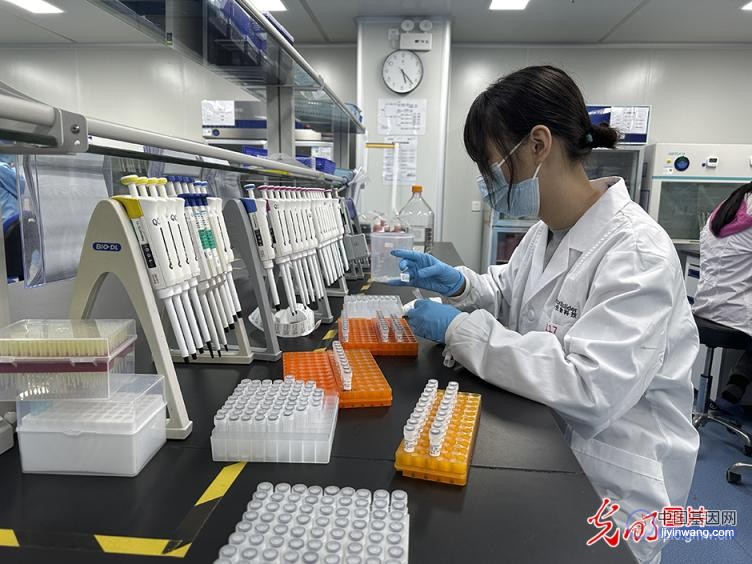 基因递送排头兵云舟生物 可实现“个性化”定制