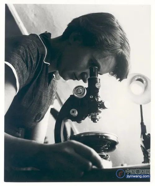 DNA双螺旋70周年，致敬真正的第一作者：被遗忘的罗莎琳·富兰克林女士