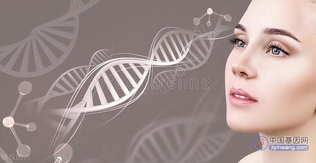 人类基因组计划的意义和进展：从基础科学到医学应用