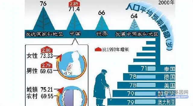 人类死亡时间可以由基因推测？基因因素只占30%，客观因素是主因