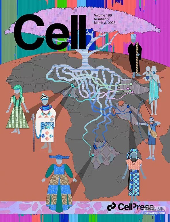 《细胞》封面：全基因组测序揭示非洲人群演化历程