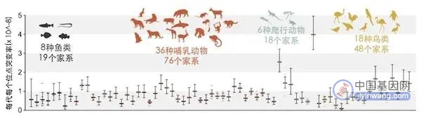 后代新生基因变异，父母分别贡献了多大比例？科学家有了新发现