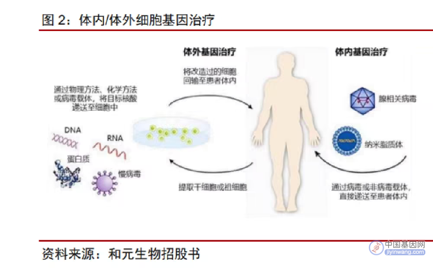 细胞基因治疗CDMO行业深度研究：千帆竞发，研发生产外包踏浪前行