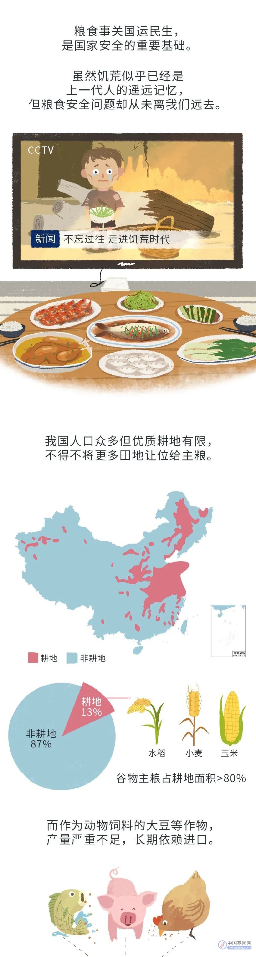 保障粮食安全，为什么一定要发展转基因？