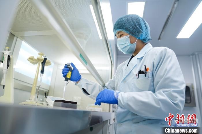 徐金莎正在处理实验样本