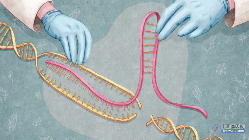 《科学》诺奖得主解读CRISPR基因编辑的十年，将继续改变世界！