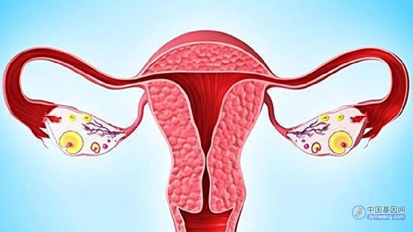 罕见卵巢癌进行基因检测有什么意义？