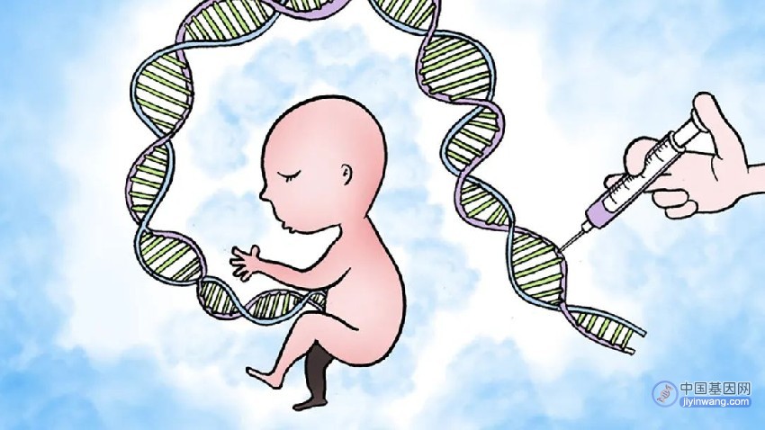英国启动十万新生儿基因图谱计划，推动罕见遗传病早发现