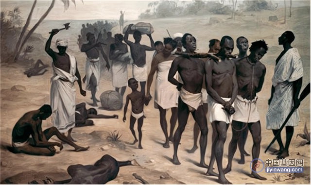 基因技术研究美国黑奴遗骸，帮助揭示美国黑奴历史