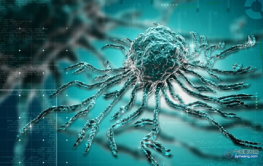斯坦福大学最新研究揭开癌症基因的“欺骗”面纱，提供免疫治疗的潜在靶点