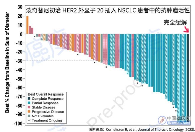 靶向HER2基因突变，波奇替尼让80%患者病灶缩小