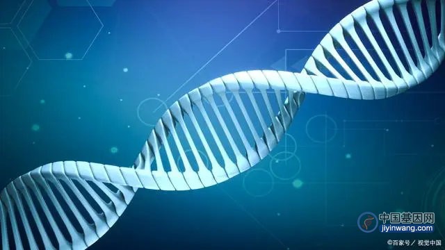 人类基因组终于“无缝”了！科学家公布完整序列，人类遗传的奥秘