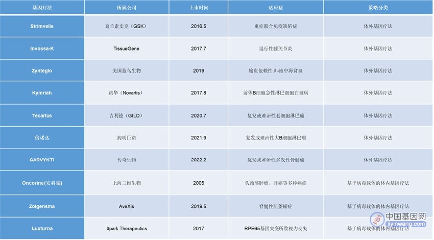 基因治疗药物的前世今生，基因疗法迅猛发展！