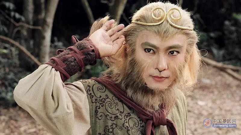 世界首次，中国科学家利用干细胞技术造出人工“猴胚胎”