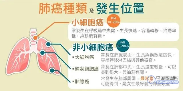 定制寿命，源头抗衰：筛选百余种促衰基因，从头到脚治疗老年病