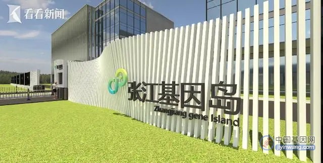 张江基因岛即将启幕 国际医学园发力前沿产业