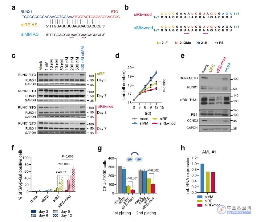 Leukemia：纳米颗粒递送siRNA靶向融合基因治疗儿童急髓白血病