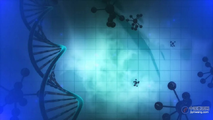 斯坦福学者开发生物医学新工具，破解基因组三维结构百年科学难题