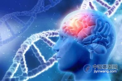 调节记忆基因活性的机制，可能与阿尔茨海默病等疾病有关