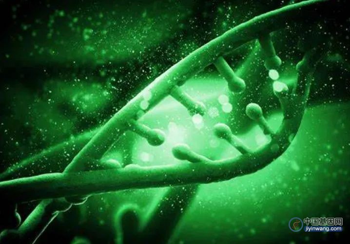 挑战98%的基因组，纽约大学运用CRISPR和单细胞测序解析靶基因