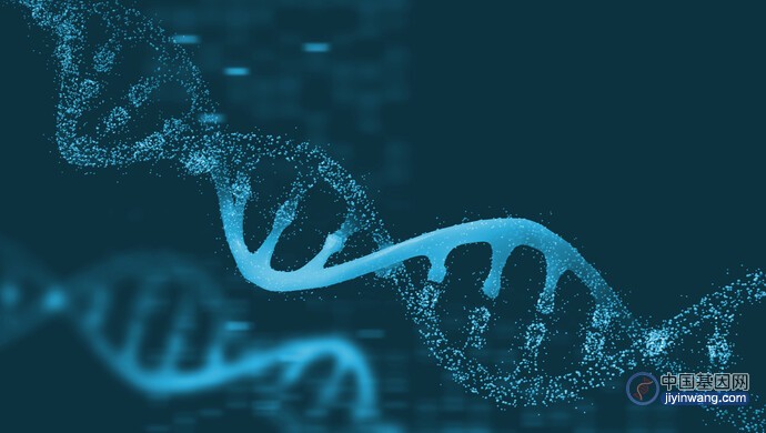 人类基因组图谱更新，更能代表全人类