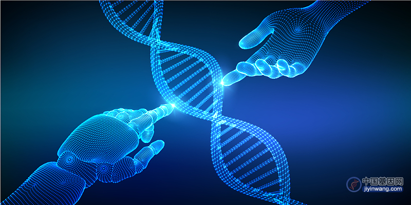 人类泛基因组图谱发布：增加1.19亿个碱基对、遗传变异特征数量增加104%
