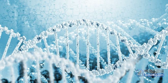 覆盖每个人类基因组超99%的序列，AI帮助建立更好的泛基因组