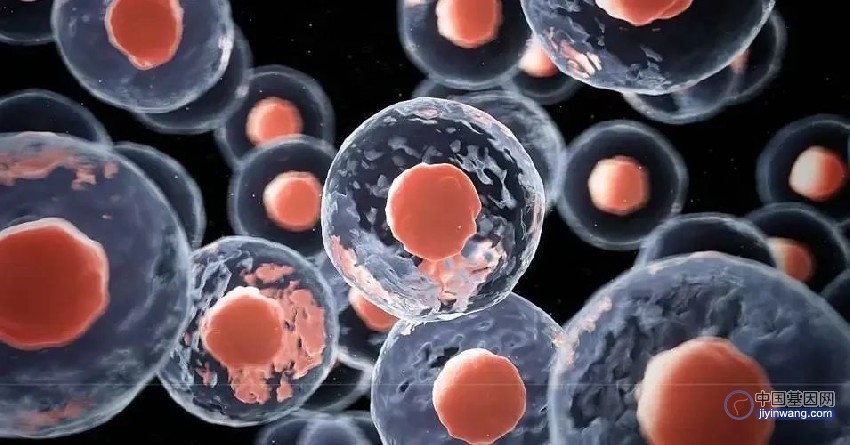 细胞与基因解读：NK、iPSC细胞来源外泌体，肿瘤治疗新方向