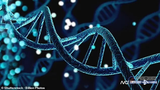 世界首个“人类泛基因组”发布，巨大基因数据库有助攻克顽疾