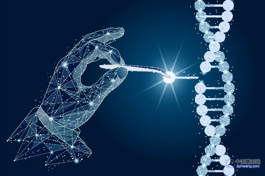“人人基因组时代”到来还缺什么？国产基因测序仪助力几何
