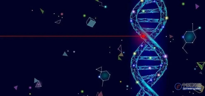 先导编辑技术，轻松设计癌症突变小鼠模型，加速癌症基因突变研究