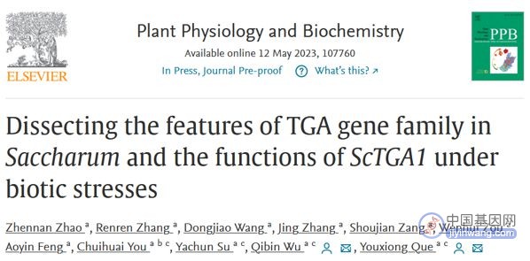 福建农林大学阙友雄/吴期滨团队揭示甘蔗TGA基因家族的进化及其响应生物胁迫的机制