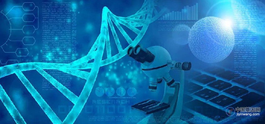 全面解读融合基因检测：DNA or RNA? PCR or NGS?