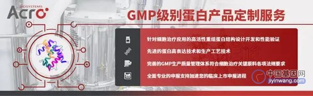 ACRO百普赛斯GMP蛋白定制服务，加速细胞基因治疗药物研发、上市进程