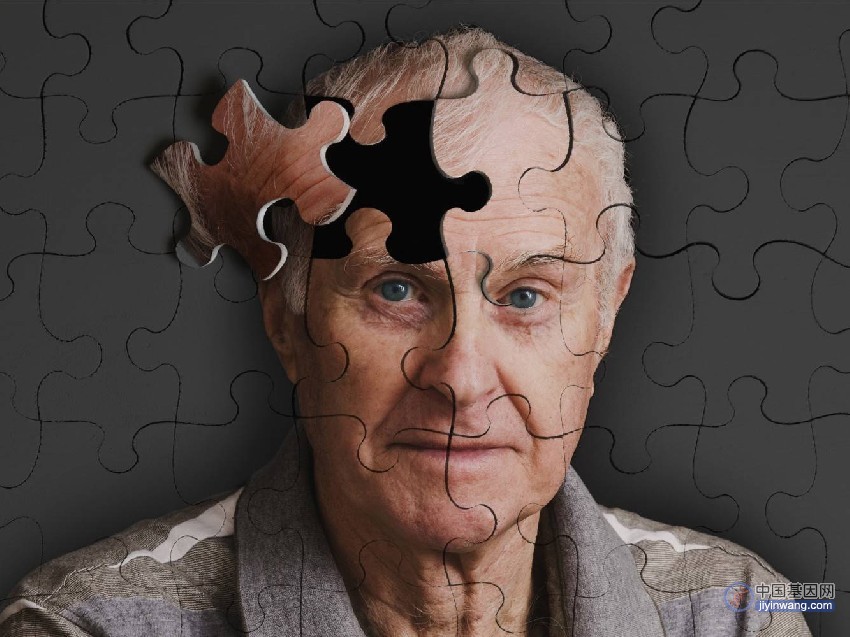 重大发现！抗阿尔茨海默病“第二人”出现：男子携带罕见基因突变，痴呆症状推迟20多年