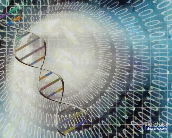 人类基因组计划：揭开我们身体里的六十亿个基因密码