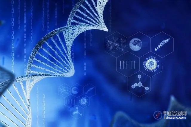 专访擎科基因工厂--DNA合成平台化，赋能生物经济发展