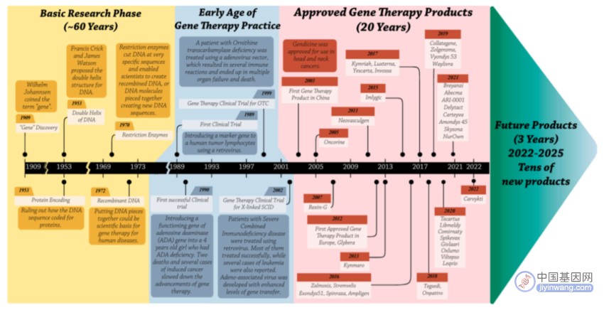 全球基因治疗的临床概况，基因治疗经历哪四个阶段？