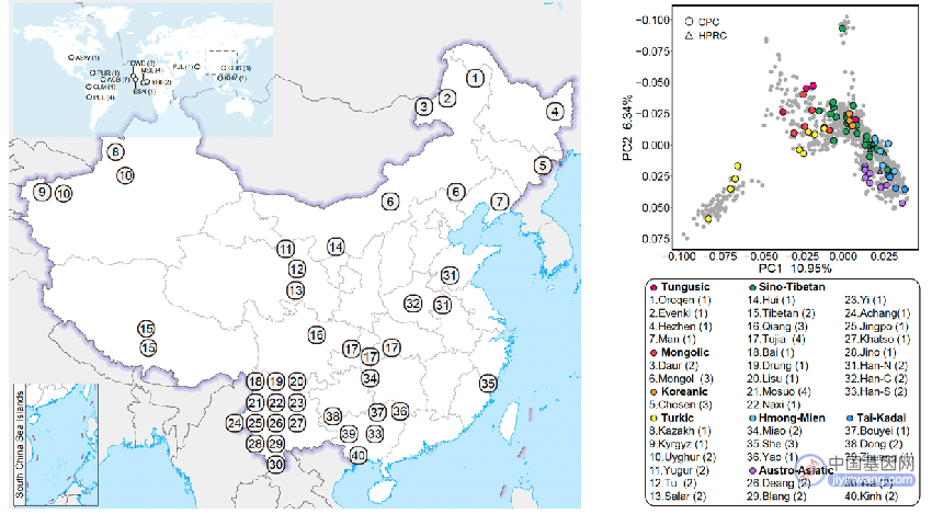 CPC一期核心样本地理分布及语系、族群、遗传聚类关系