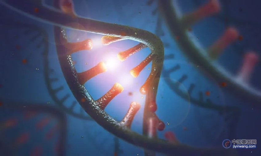 《Nature Biotech》：新工具Prime Editor可预测基因编辑的成功率