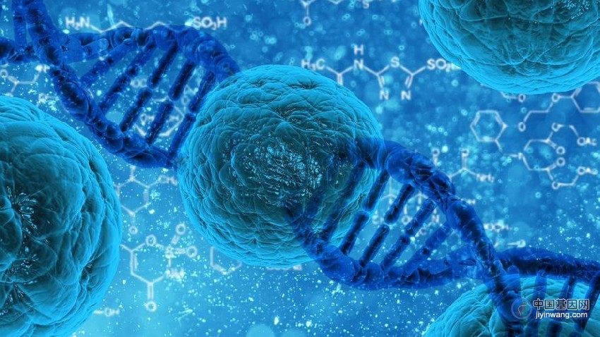 自私的基因，清华大学刘俊杰团队揭示逆转座子在基因组上跳跃的分子机制