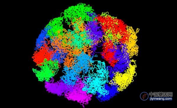 Science：邢栋团队利用单细胞多组学技术揭示三维基因组与基因表达关系