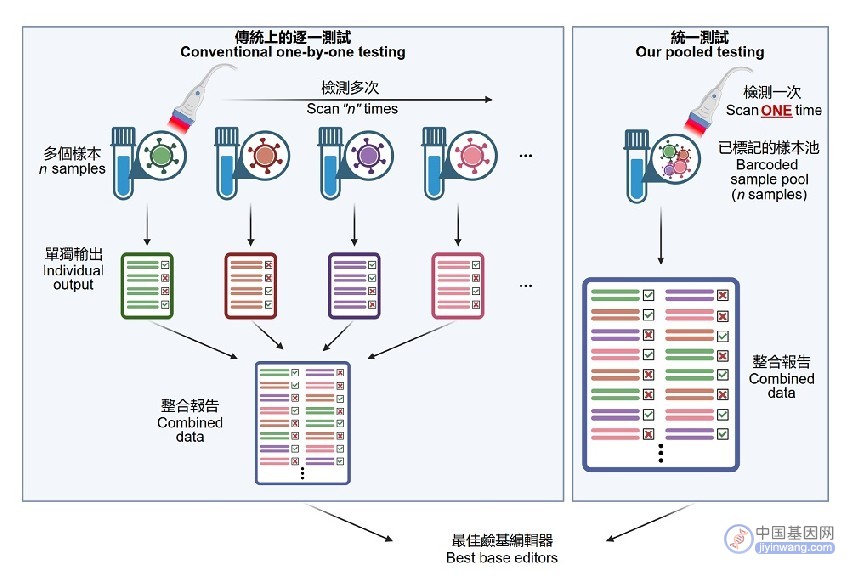 港大医学院开发全球首个筛选精确基因编辑工具平台