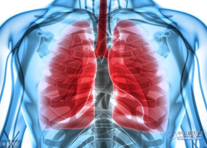 警惕！每年近2万肺癌可能是遗传了致病基因引发的