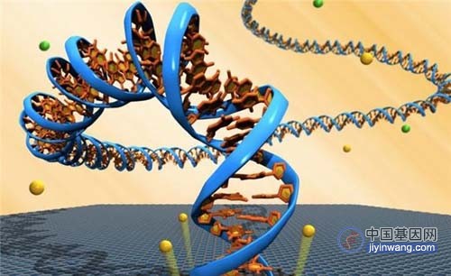 基因科普：基因测序技术发展史和技术原理，一文汇总！