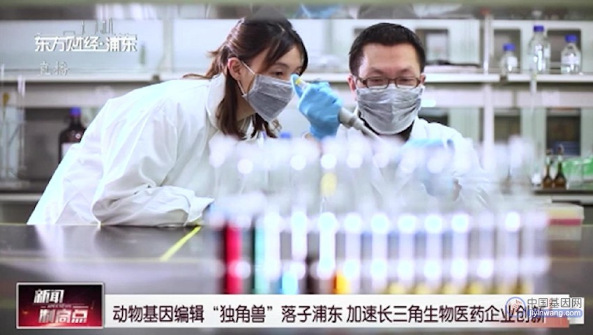 动物基因编辑“独角兽”落子浦东 加速长三角生物医药企业创新