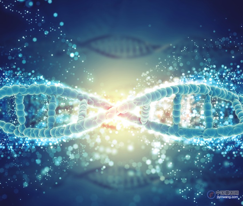 基因科普：你知道“人类从何而来”吗？DNA、基因、染色体之间究竟是什么关系