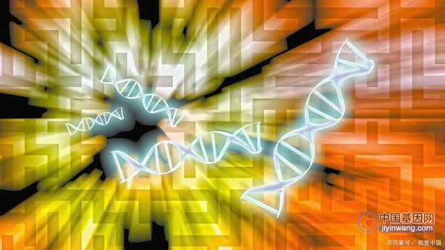 中美团队合作开发基因遗传信息新模型 精准预测冠心病患病风险