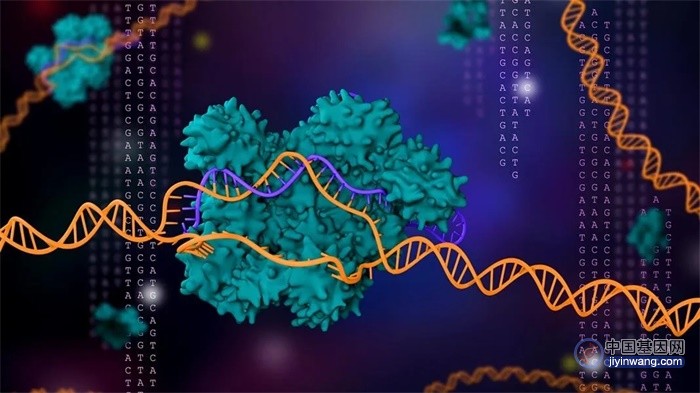 Nature子刊：用AI预测CRISPR基因编辑活性，实现对基因表达水平的精准调控